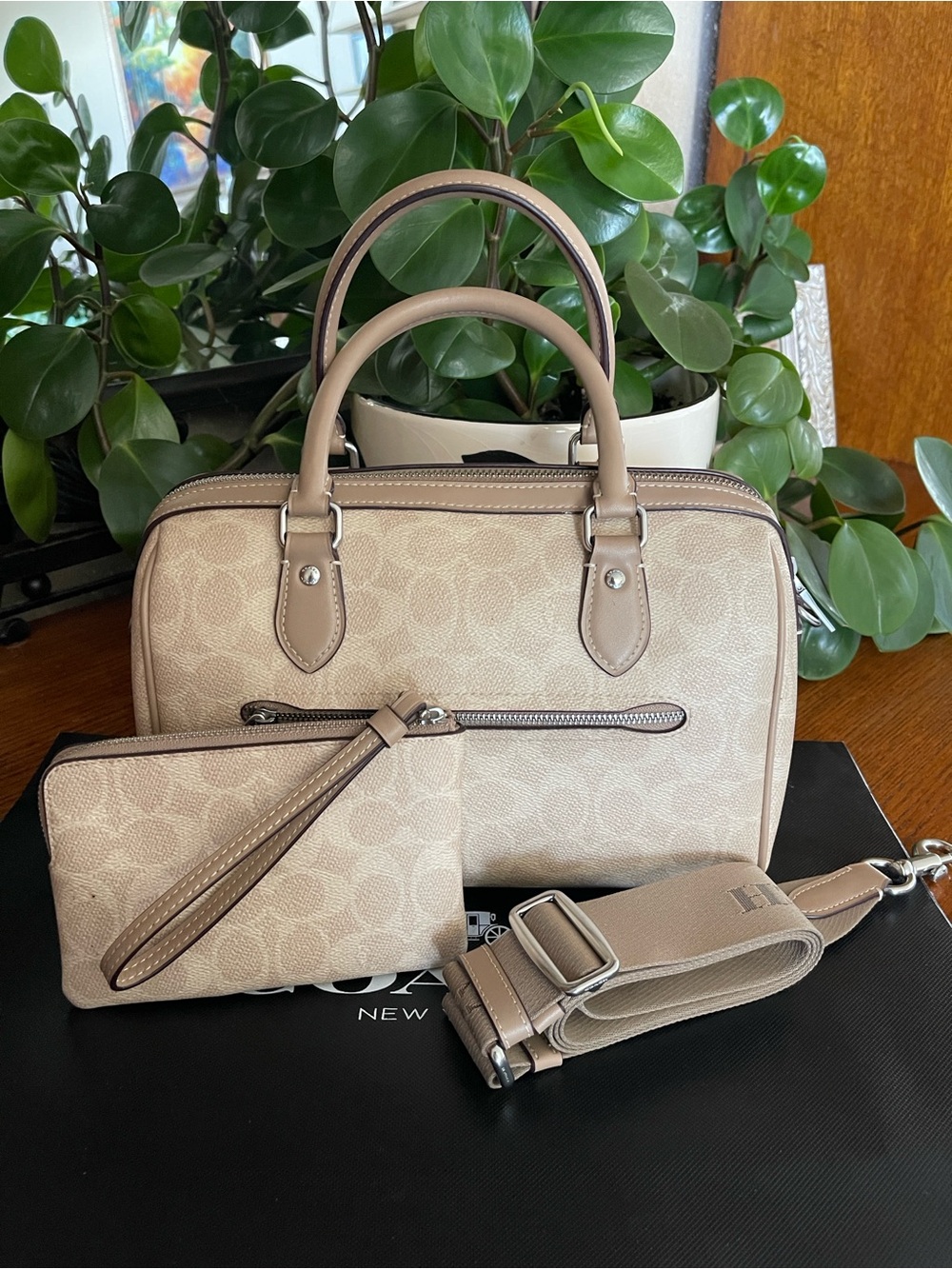 Coach Rowan Satchel with Stipe & NWT Matching Wristlet - Picture 2 of 12